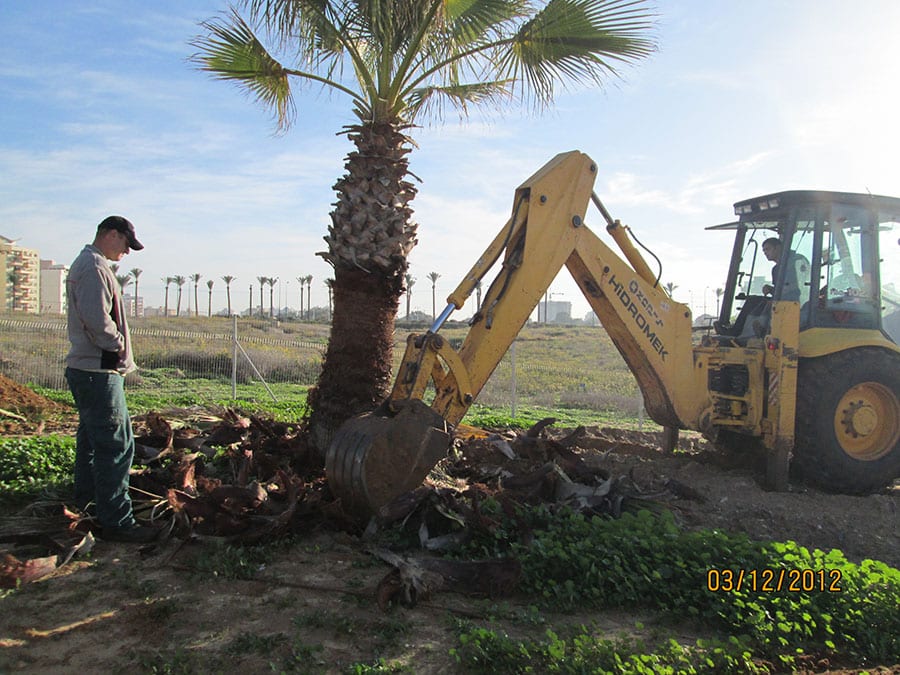 Read more about the article Rehabilitation of the Netanya Waste Site (Netanya WS)